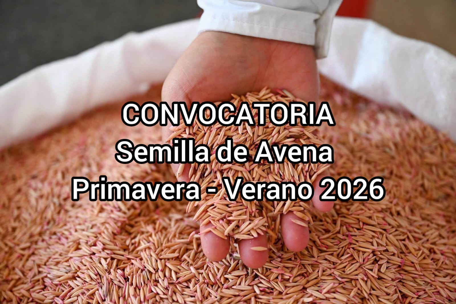 CONVOCATORIA