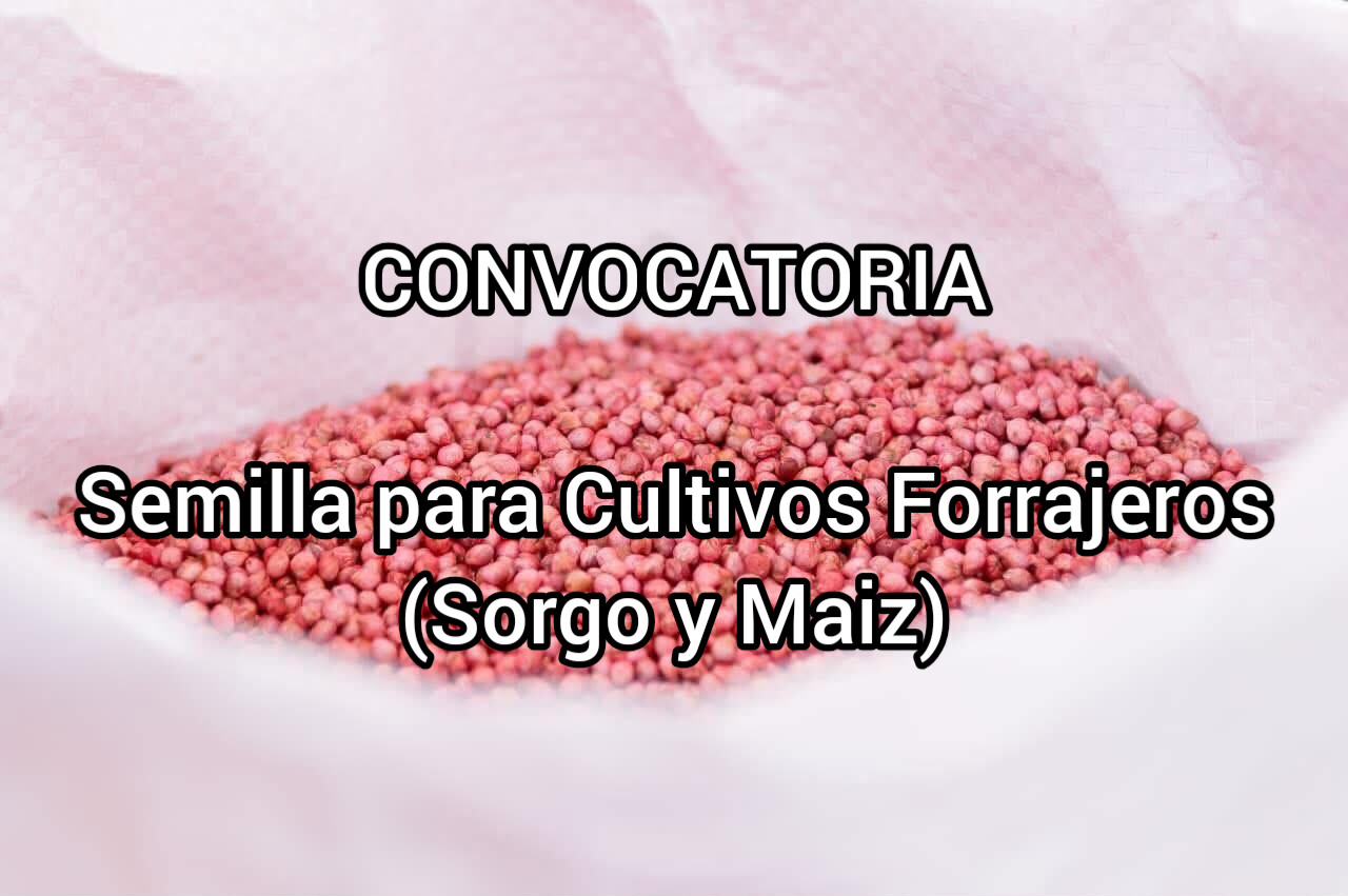 CONVOCATORIA