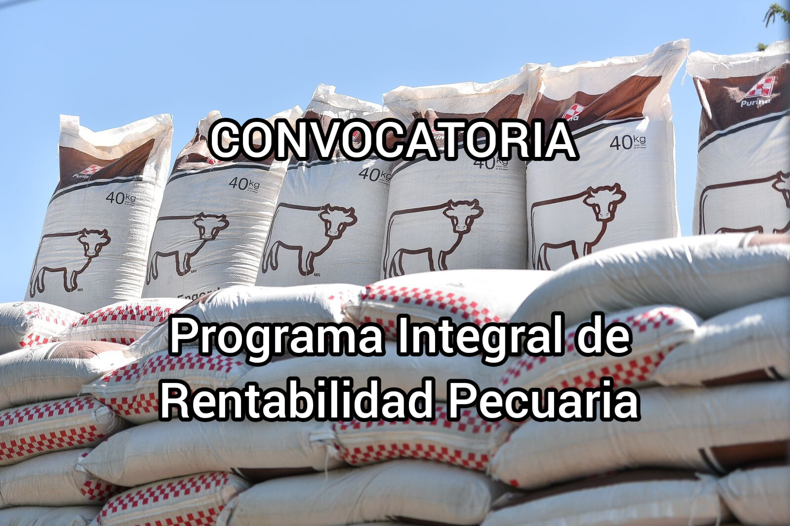 CONVOCATORIA
