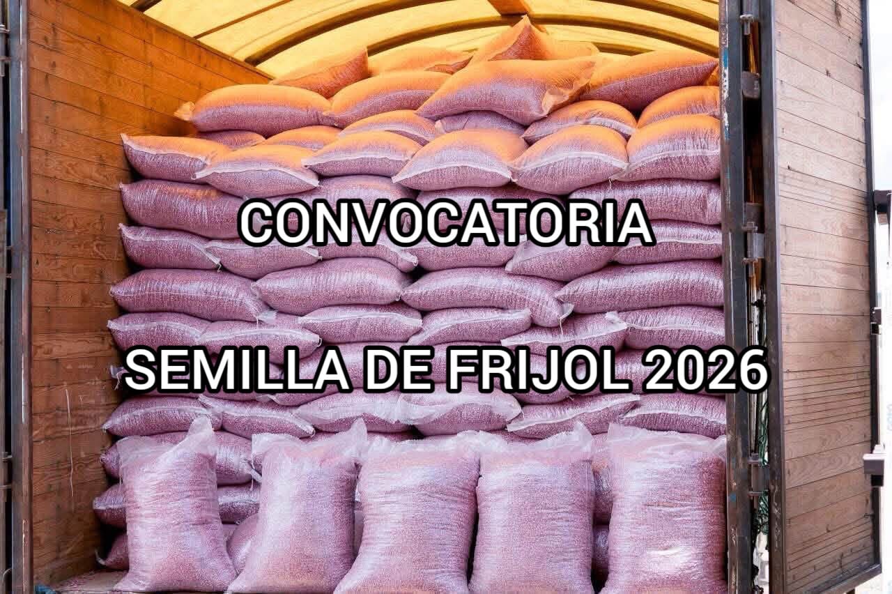 CONVOCATORIA