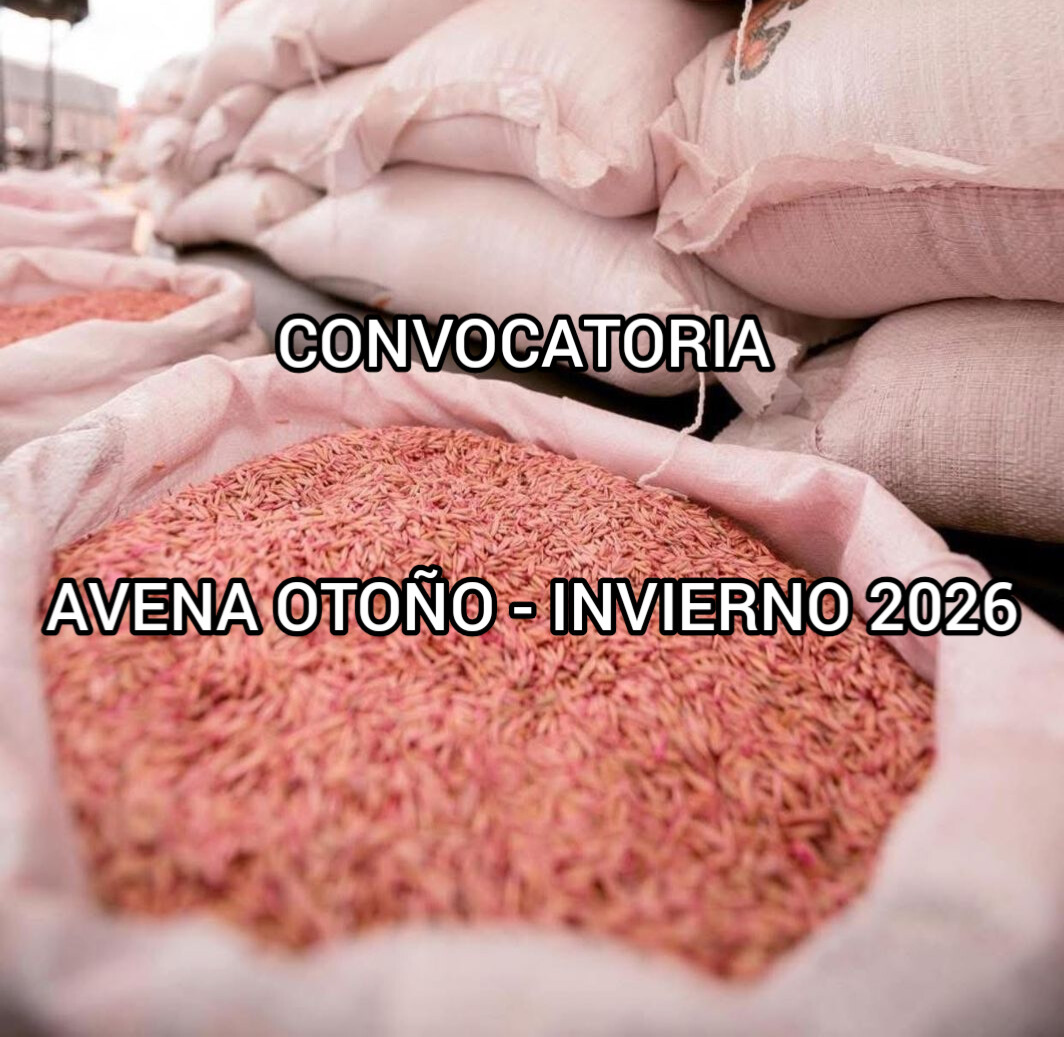 CONVOCATORIA